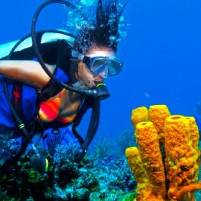 diver with coral reef