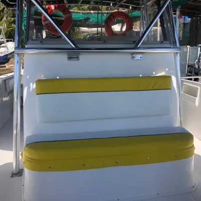 Whale Shark Tour Cancun boat