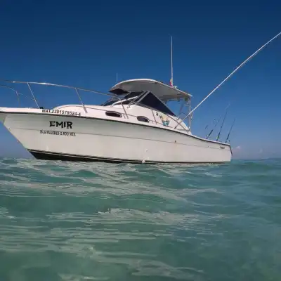Whale Shark Tour Cancun boat