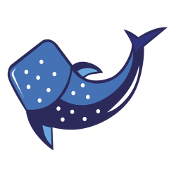 Whale Shark Tour Cancun