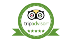 Whale Shark Tour Cancun TripAdvisor Reviews Whale Shark Tour Cancun TripAdvisor Reviews