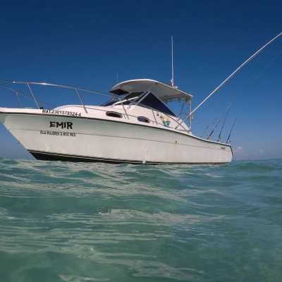 Whale Shark Tour Cancun boat