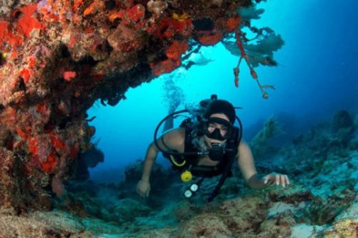 diver with reef