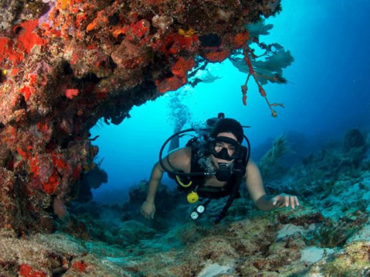 diver with reef