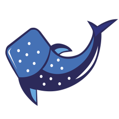 Whale Shark Tour Cancun